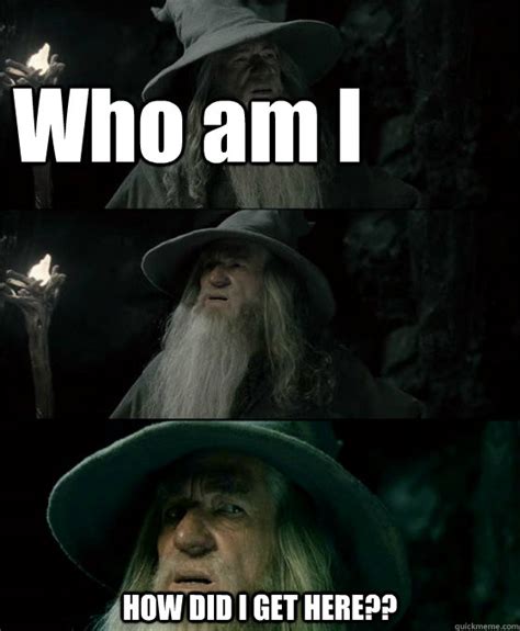Who Am I How Did I Get Here Confused Gandalf Quickmeme