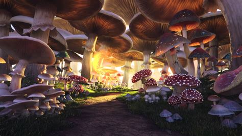 Alice In Wonderland Mushroom Forest Background