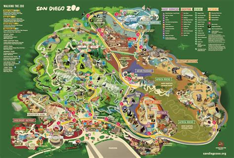 San Diego Zoo opens new 'Canopy Bridge'