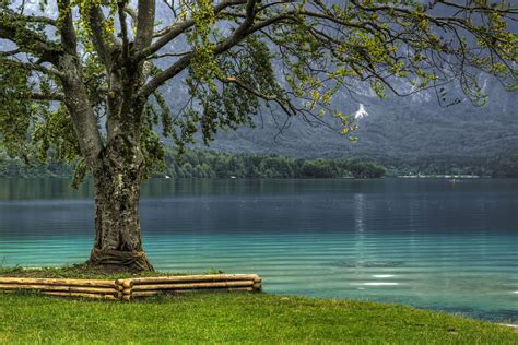 16 Beautiful Lake Bohinj Photos To Inspire You To Visit Slovenia