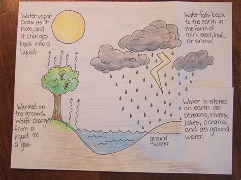 Home The Water Cycle