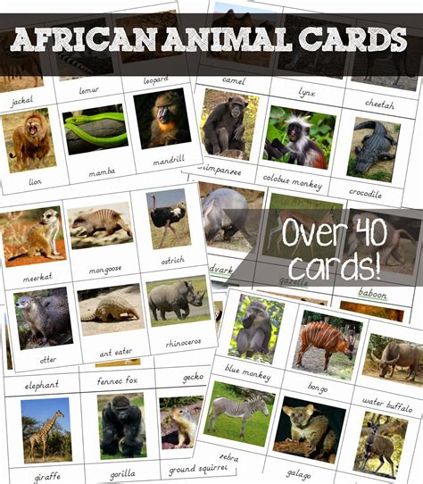 Free Printable African Animal Cards Welcome To Mommyhood