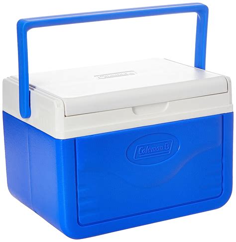 Buy Coleman Coleman 5qt Blu Flip Lid Cooler Online At Low Prices In