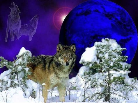 Wallpapers Cave Wolf Wolf Wallpaperspro