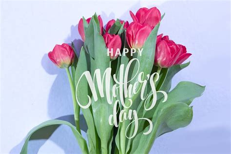 Tulip Happy Mothers Day Greeting Pictures Photos And Images For