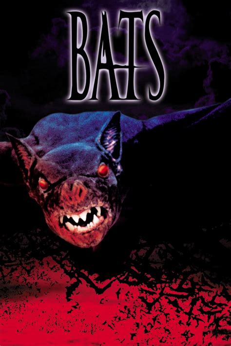 Bats Sony Pictures Entertainment