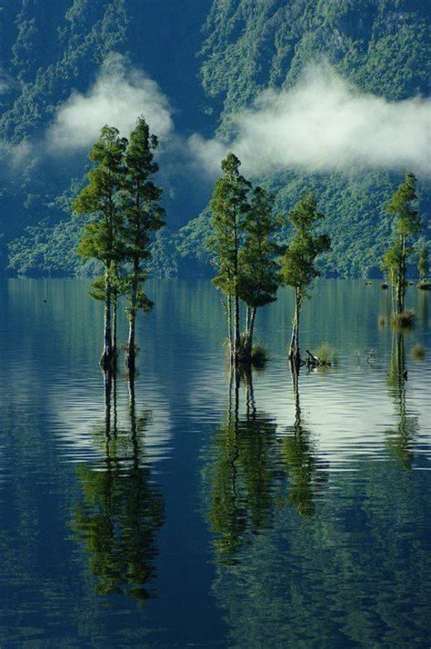 Lake Trees In New Zealand Beautiful Nature Scenery Nature