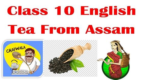 Tea From Assam हिंदी में Class 10 Chapter 7part 3