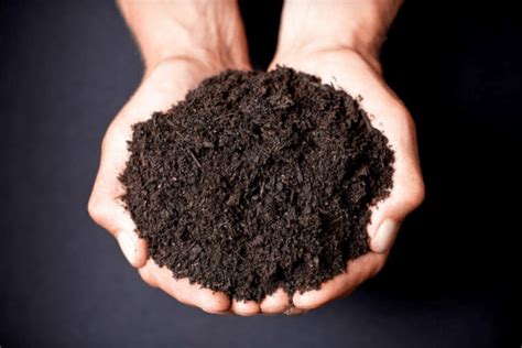 Garden Soil Dirt Cheap Soil Aggregates Grass Seed Mulch Delivery