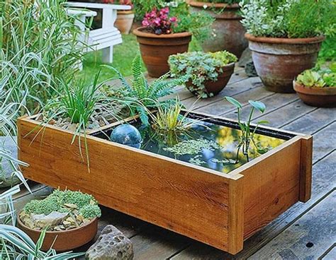 Container Water Gardens For Small Spaces Landscaping Network