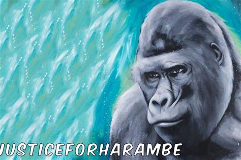 To change a new wallpaper on iphone, you can simply pick up any photo from your camera roll, then set it directly as the new iphone background image. Harambe wallpaper ·① Download free amazing HD backgrounds for desktop computers and smartphones ...