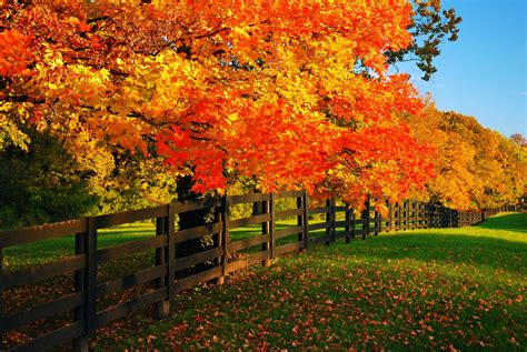 The Best Fall Foliage In Bardstown 7 Things To Do This Fall