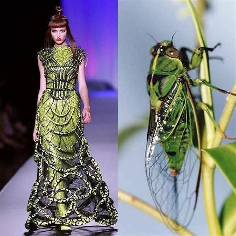 Cicada Dress Nature Inspired Fashion Fashion Inspiration Design Fashion Design