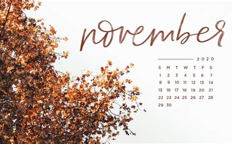 Beautiful November 2020 Desktop Wallpaper November Backgrounds