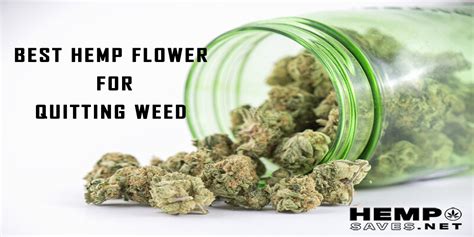 If you go into your detox being aware of the potential symptoms you'll have, you'll be stronger and more likely to avoid relapse. Whats The Best Hemp Flower To Help You Quit Weed? Answer Here