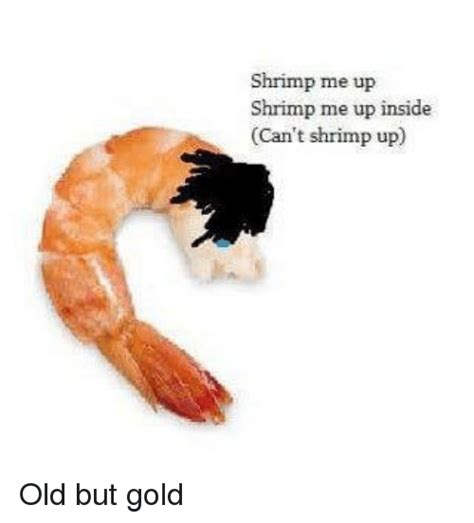 Shrimp Memes