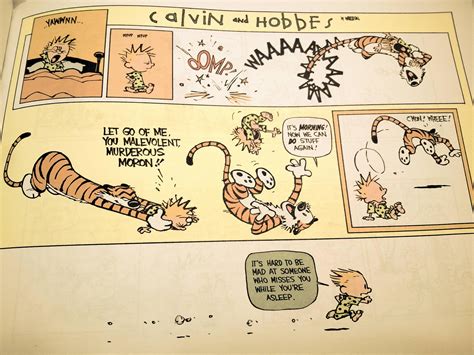 Love Calvin And Hobbes Calvin And Hobbes Funny Cheery