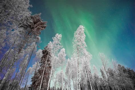 Lapland The Ultimate Winter Wonderland Adventure Za