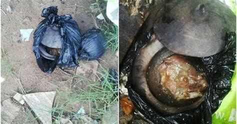 Pastor Caught With Fetish Materials Buried In Compound Of