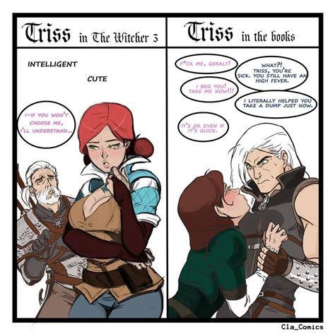 pin by seb on witcher the witcher books the witcher witcher triss