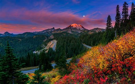 Autumn Landscape Bushes With Yellow And Red Leaves Mountainous Peak