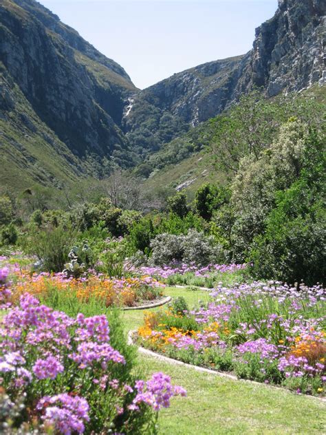 Gardens In South Africa That Everyone Must See Touristsecrets
