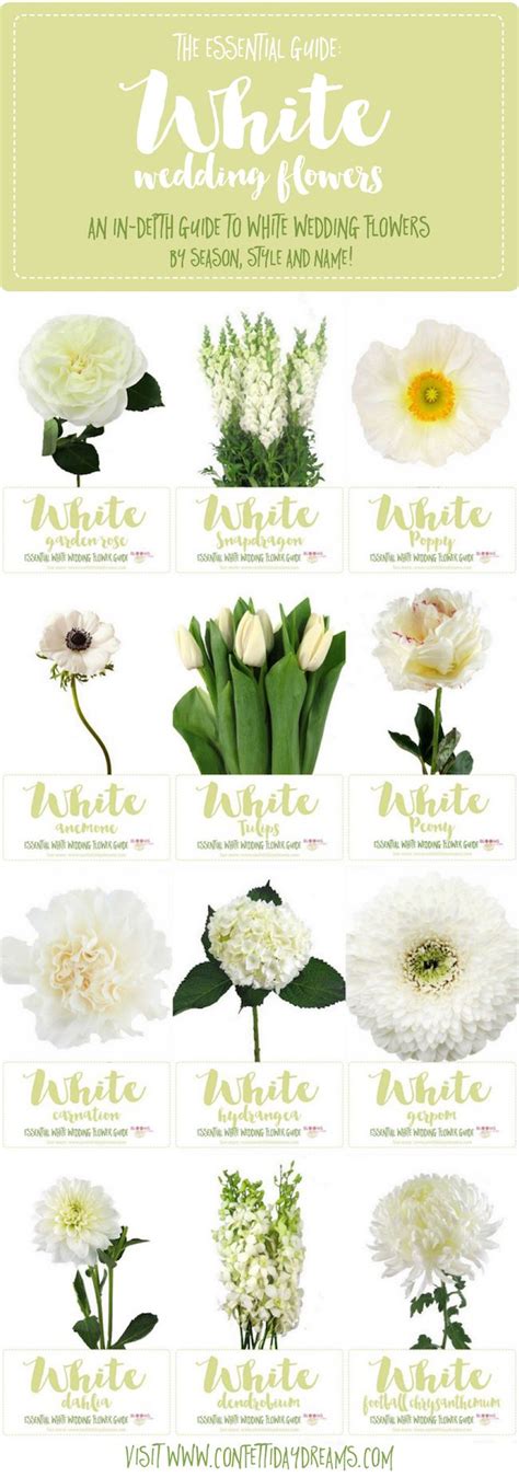 Essential White Wedding Flower Guide Names Types Pics Wedding