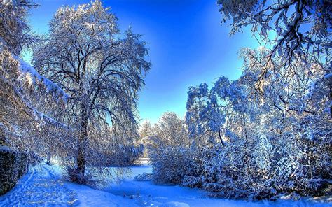 Image Hdr Winter Nature Sky Snow Trees
