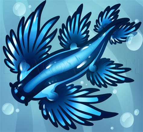 How To Draw A Blue Sea Slug Glaucus Atlanticus Step By Step Drawing