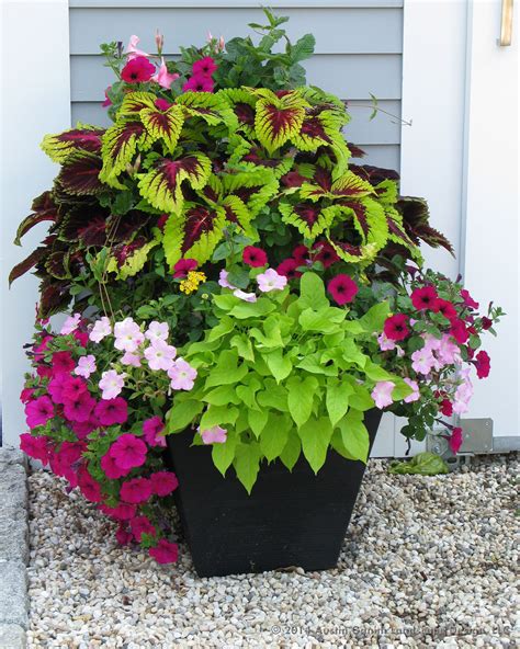 A Potted Planter Filled With Lots Of Different Colored Flowers Next To