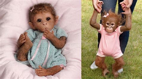 Best Reborn Animal Dolls Super Adorable Monkeys Youtube