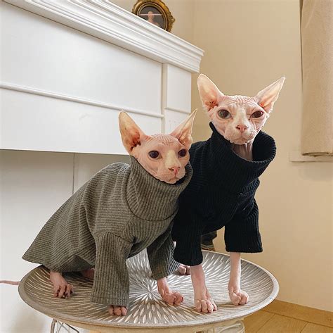 Hairless Cat Clothing Cat Clothes Winter Thick Cotton Etsy