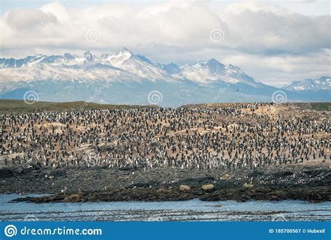 Landscape Of Ushuaia Patagonia Argentina Stock Image Image Of