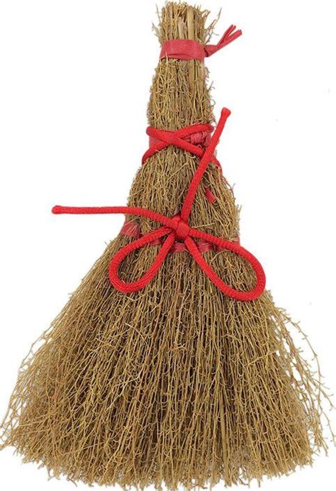 Cinnamon Broom 6