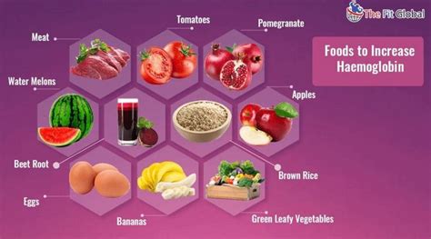 It is the part of the blood that transports. 14 Foods to Increase Hemoglobin Which You Should Eat to ...