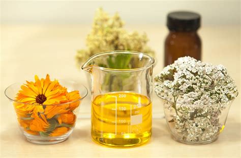Herbs For Winter Health Teresa Wolfe Food Scientist