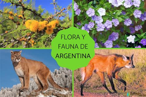 flora y fauna de argentina resumen con fotos