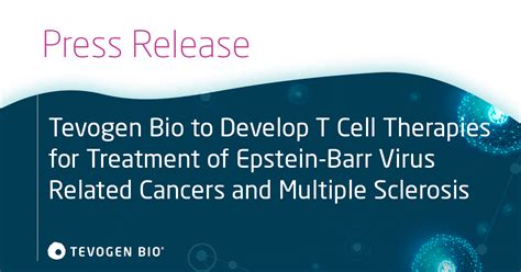 Tevogen Bio To Develop T Cell Therapies For Treatment Of Epstein Barr Virus Related Cancers And