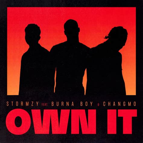 Stormzy – Own It (Remix) Lyrics | Genius Lyrics