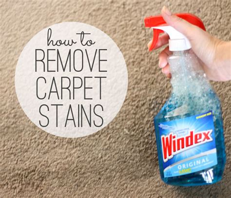 Once the carpet shampoo has dried, you are ready to being dying the carpet. how to remove carpet stains (with something you already have!)