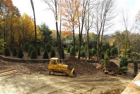 Deciduous And Evergreen Screening Popel Landscaping And Design Llc
