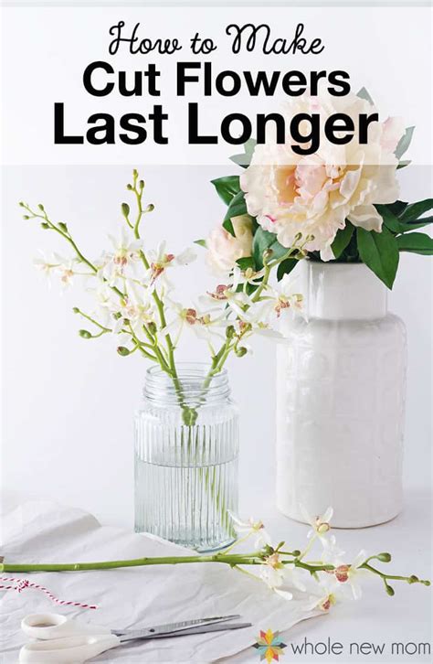 Maybe you would like to learn more about one of these? How to Make Flowers Last Longer - Plus the BEST Method of All