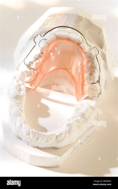 Dentofacial Hi Res Stock Photography And Images Alamy