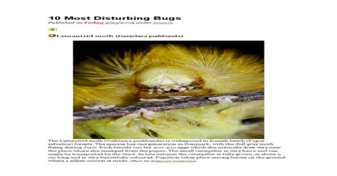 10 Most Disturbing Bugs Pdf Document