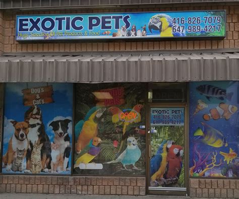 Sadly my experience with my purchases as someone new to the hobby of mantis keeping i have used exotic pets for a number of years now with no problems! Exotic Pets - 17 Photos - Pet Stores - 4286 Kingston Road ...