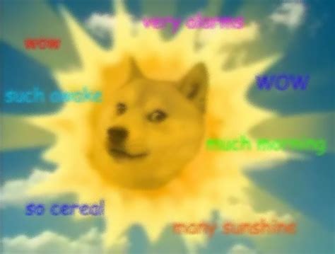 Wow So Doge Photograph By Michael French Fine Art America