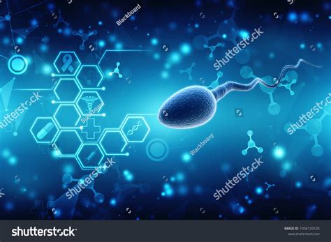 Human Sperm Cell 3d Illustration Stock Illustration 1058729105