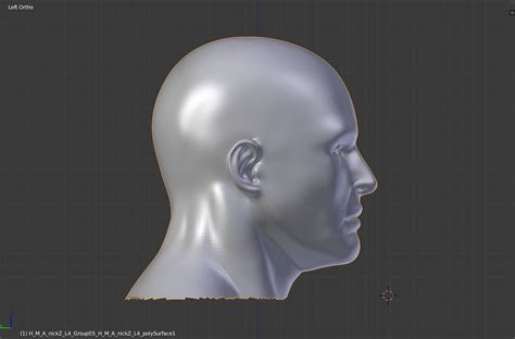 Human Man Head Demo Free 3d Model Cgtrader