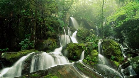 Waterfall Nature Wallpapers Hd Water Fall In Jungle High