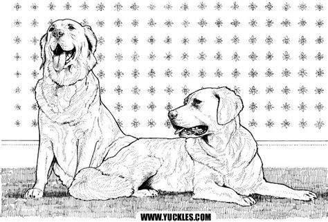 Labrador Retriever Coloring Page By Yuckles